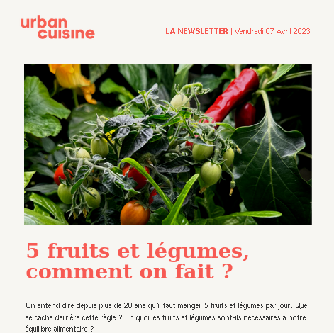 newsletter_urban_cuisine